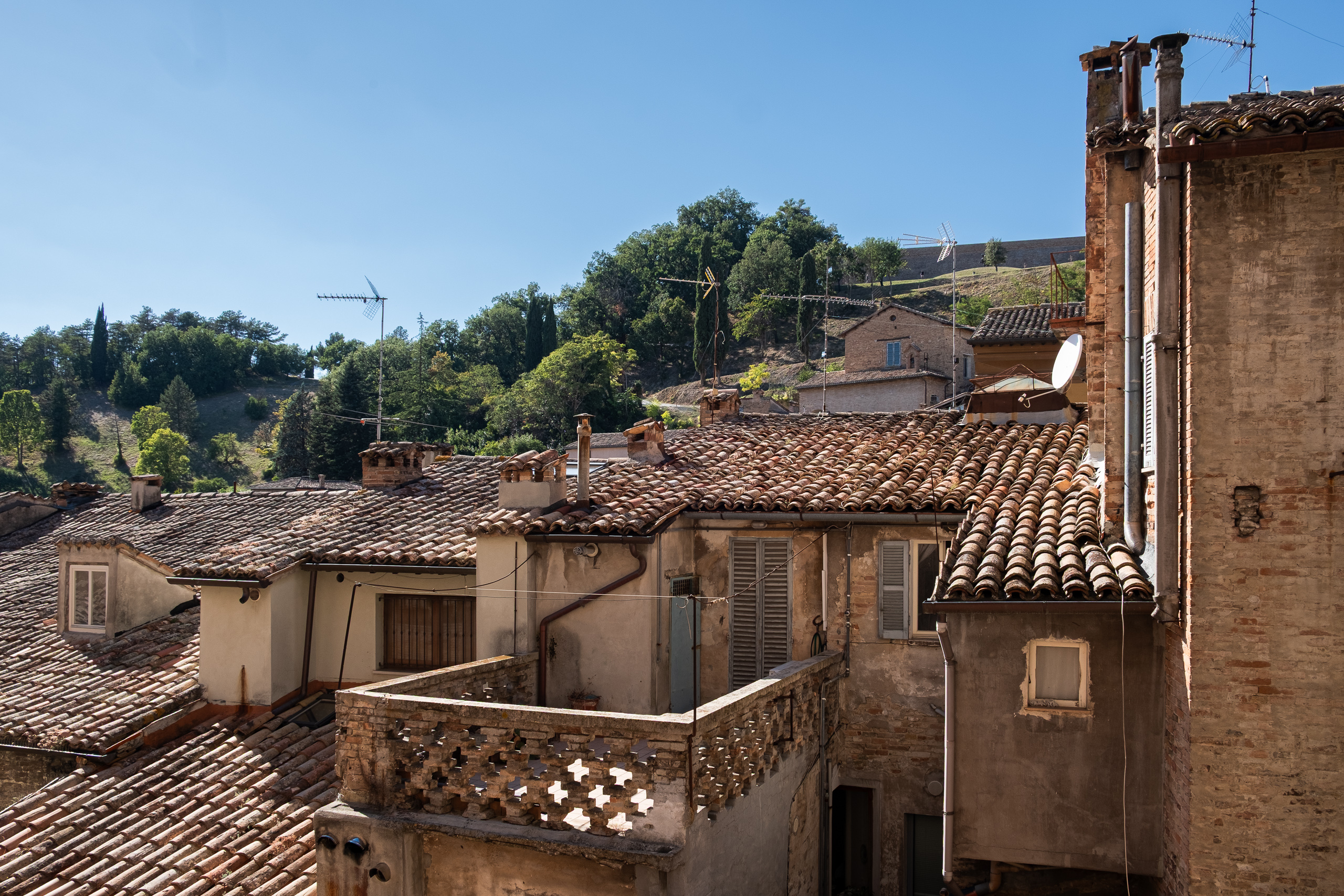 Blick über die Dächer von Urbino – oben die Festungsmauer